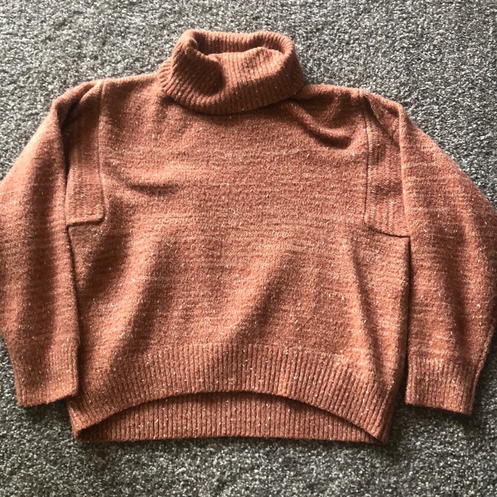 Turtleneck Sweater